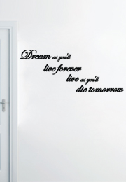 מדבקת קיר - Dream as you‘ll live forever live as you‘ll die tomorrow 