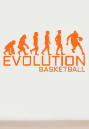 מדבקת קיר - אבולוציה - כדורסל