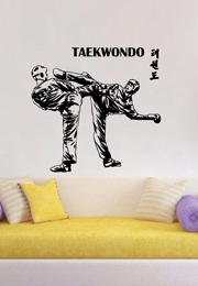 מדבקת קיר - טאקוונדו - Taekwondo 